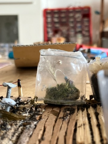 A small bug waters the universal language plant in the nature floor